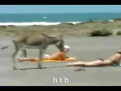 Roodharige weet hoe hij gratis seks film kijken met een lul moet omgaan